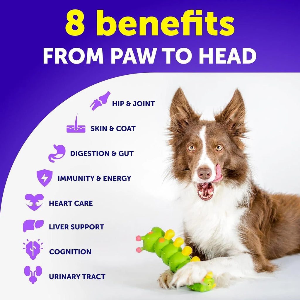 Advanced 20-in-1 Dog Multivitamin Chews for Joint, Gut & Coat Health