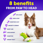 Advanced 20-in-1 Dog Multivitamin Chews for Joint, Gut & Coat Health