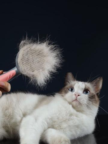 Pet Hair Remover Brush – Remove Fur in Seconds 🐾