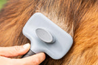 Pet Hair Remover Brush – Remove Fur in Seconds 🐾