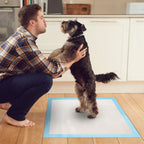 50Pcs Per Set Dog Training Pads Puppy Pee Pads Cat Wee Mats Potty-Train