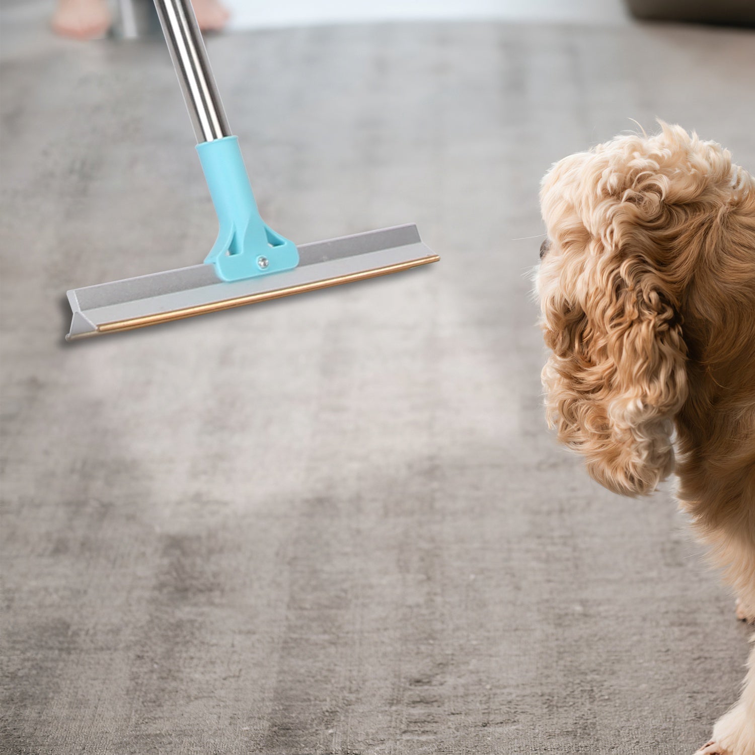 Pet Hair Remover Rake – Deep Clean Fur Easily | PawVibe