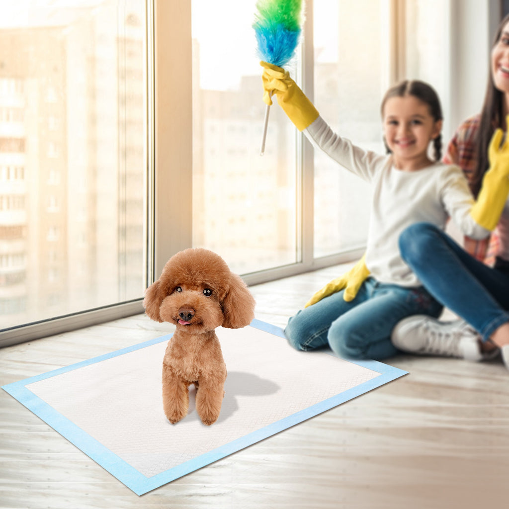 50Pcs Per Set Dog Training Pads Puppy Pee Pads Cat Wee Mats Potty-Train