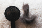 Pet Hair Remover Brush – Remove Fur in Seconds 🐾